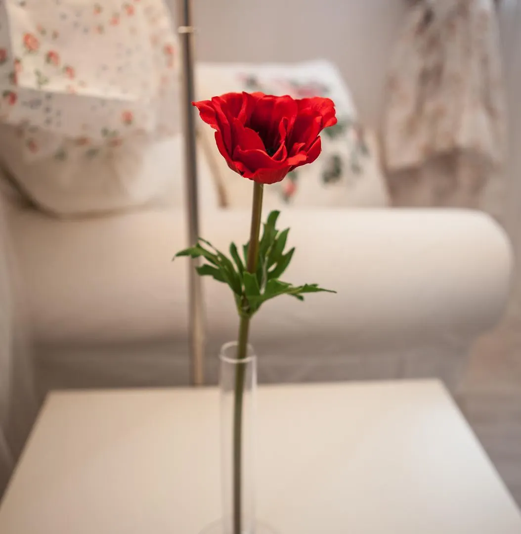4 Couples & 4 Friends Hostel Cracovie